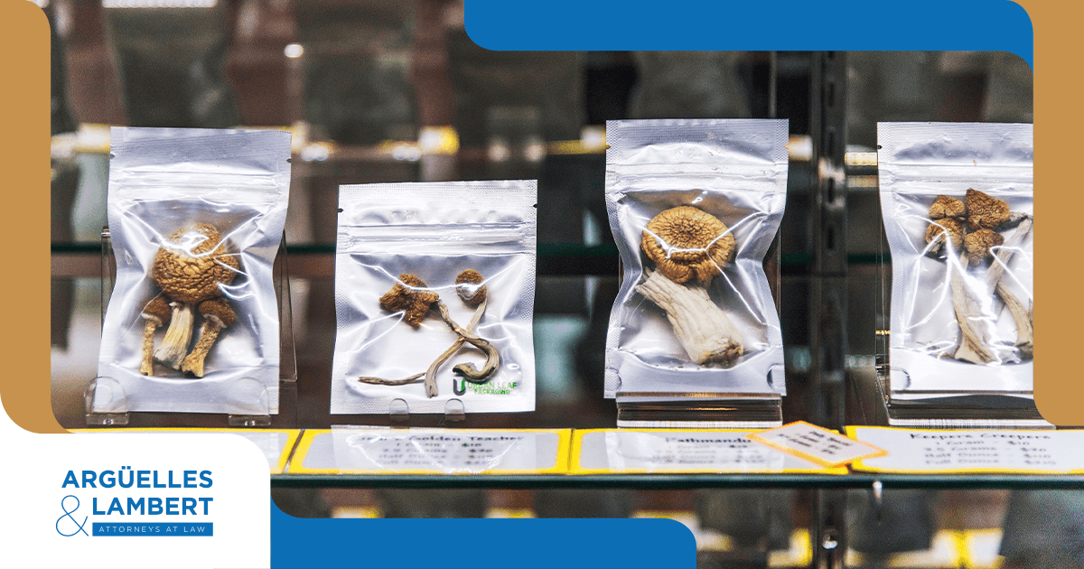 Magic mushroom and psilocybin possession laws in Texas